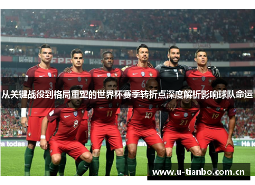 从关键战役到格局重塑的世界杯赛季转折点深度解析影响球队命运